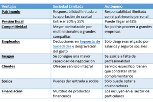 Características y Ventajas de la Sociedad Limitada